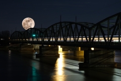 796_Blue_Moon