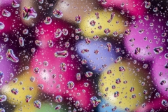 845_Water_Drops-1