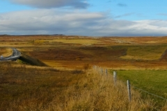 583_DSC01729