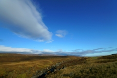 584_DSC01744