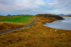 599_DSC02395