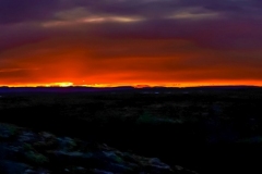600_DSC02423