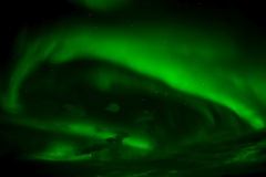 614_DSC03015