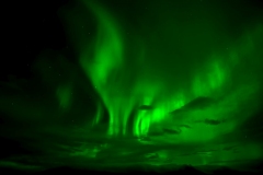 615_DSC03017