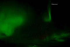 627_Polarstern