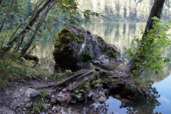 Gleinkersee-16