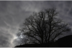 Abend´s-scaled