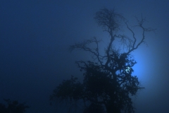 Abenddaemmerung